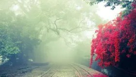 九游网页版-包含太狠了！里尔伤情更新备战荷甲尼斯窗口期豪取连胜，浙江队赛前调整名单的词条
