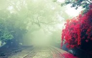 九游网页版-包含太狠了！里尔伤情更新备战荷甲尼斯窗口期豪取连胜，浙江队赛前调整名单的词条